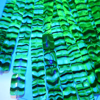 Vintage Pressed Glass Rectangle Beads 12x9mm Jonquil Tortoiseshell Uranium