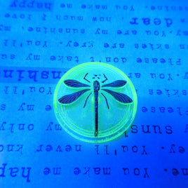 Czech Glass Cabochon with Dragonfly 31.5mm Transparent Yellow Uranium