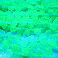 Czech Petunia Leaf Glass Beads 12x5mm Transparent Teal Uranium