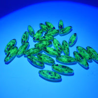 Czech Glass Peeled Olive Beads 19x7mm Turquoise Opal with Copper Wash Uranium