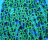 Table Cut Kiwi Beads 14x10mm Copper Lined Transparent Aqua Brass