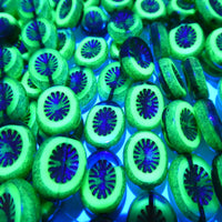Table Cut Kiwi Beads 14x10mm Copper Lined Transparent Aqua Brass