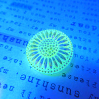 Czech Daisy Flower Button 28mm Yellow Uranium Glass
