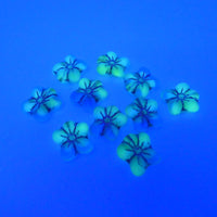 Czech Glass Flower Pressed Glass Beads 14x12 mm Yellow Blue Matte Copper Lined Uranium