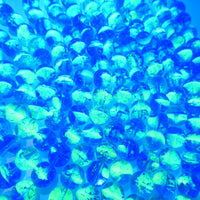Czech Round Crackle Beads 10mm Blue Lt Green